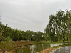 -莫子山公园