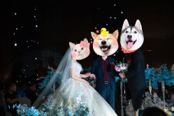 -南京宝娜嫁衣婚纱礼服馆(中央路店)