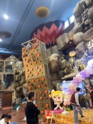 点击看大图 -卡通尼·Safari非洲探索乐园·生日会(金桥国际商业广场店)