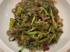 -邵年鸽(杨庄店)
