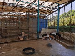 -麻涌飞鸭开心农场