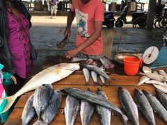 -尼甘布海鲜市场