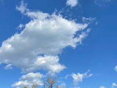 -秦皇岛野生动物园
