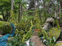 -沂蒙山旅游区云蒙景区(蒙山国家森林公园)