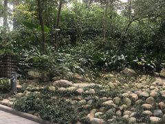 -成都市活水公园