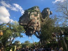 -奥兰多迪士尼动物王国乐园