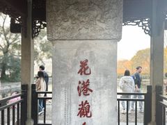 -西湖外事游船(花港观鱼码头)