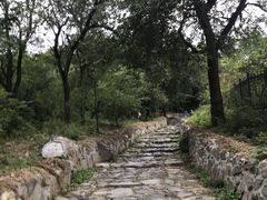 -阳台山自然风景区