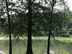 -南宁良凤江国家森林公园