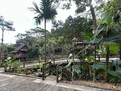 -海南槟榔谷黎苗文化旅游区