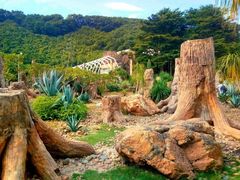-深圳仙湖植物园