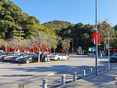 -天鹿湖森林公园