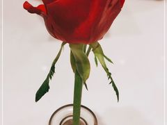 -PAUL LAFAYET 法式甜品(深圳湾万象城店)