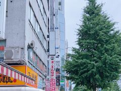 -秋叶原电器街