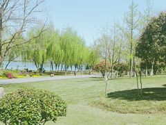 -西北湖绿化广场