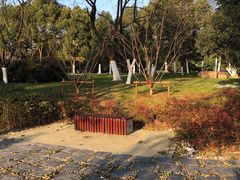 -天鹅湖体育公园