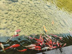 -泸州老窖景区