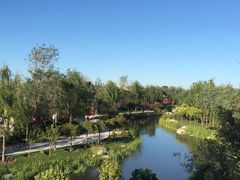 -武清南湖绿博园