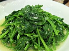 -金洲美食(高新店)