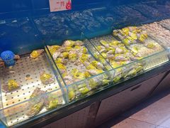 -鼎原力量东北吊炉烧烤(幸福街店)