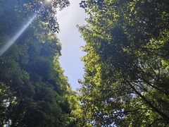 -成都老君山