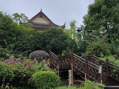 -大渡口区义渡公园