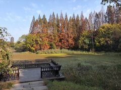 -凤城河风景区