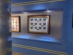 -上海昆虫博物馆