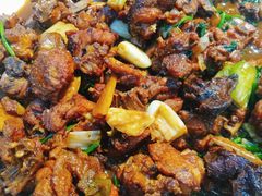 -食鸡公社辣子鸡·潍坊菜·烧烤