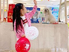 -金茂览秀城
