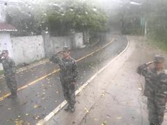 -铁山坪森林公园