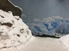 -哈尔滨热雪奇迹
