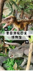 -恐龙探索乐园(磁器口店)