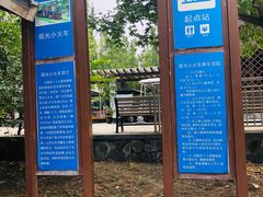 -永定河休闲森林公园