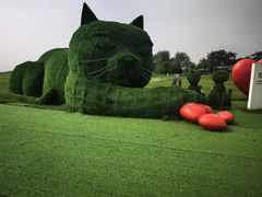 -秦皇岛阿尔卡迪亚滨海度假酒店