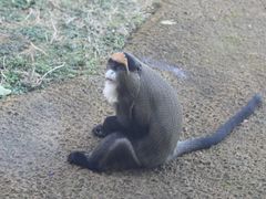 -杭州野生动物世界