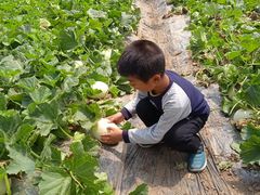 -前小桔亲子创意农场·草莓采摘·露营烧烤