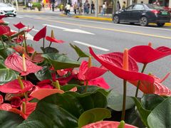 -中国工商银行(南京西路支行)