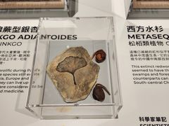 -香港科学馆