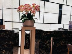 -广州天河合景福朋喜来登酒店