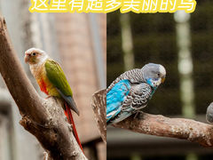 -正佳极地海洋世界