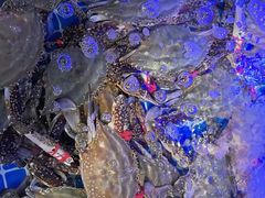 -77号渔船·蒸海鲜青岛菜(积米崖店)