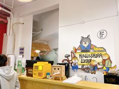 -南京Hallo宠物乐园·哈罗犬舍·柴犬繁育基地
