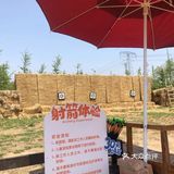 六一必打卡处[调皮]