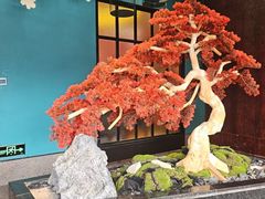 -渝乡辣婆婆·川菜 水煮鱼(槐安路店)