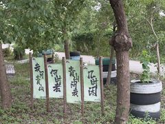 -暮谷MUGO ·团建聚会·露营烧烤·生日派对·共享菜地