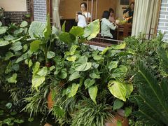 -凤凰山斑鱼馆(恭城店)