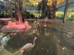 -白虎自助餐厅·真老虎·景观自助餐厅(广州长隆酒店)