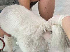 -纳吉亚猫专科动物医院·北北分院