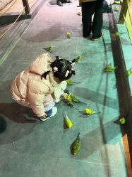 -酷嗒动物文化乐园(cutezoo西溪乐天城店)